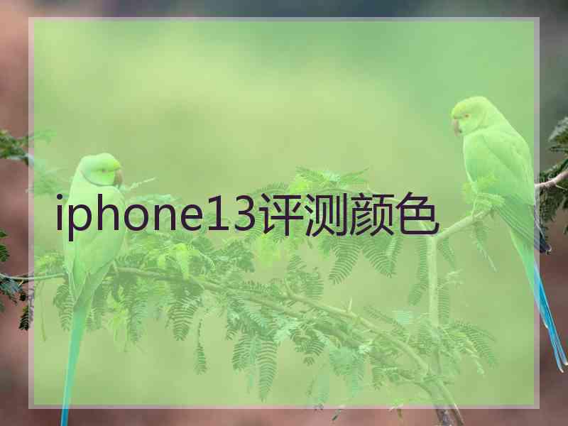 iphone13评测颜色