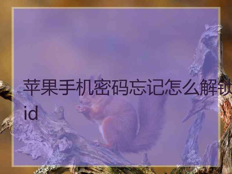 苹果手机密码忘记怎么解锁id