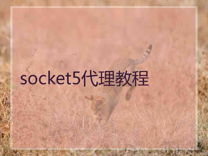 socket5代理教程