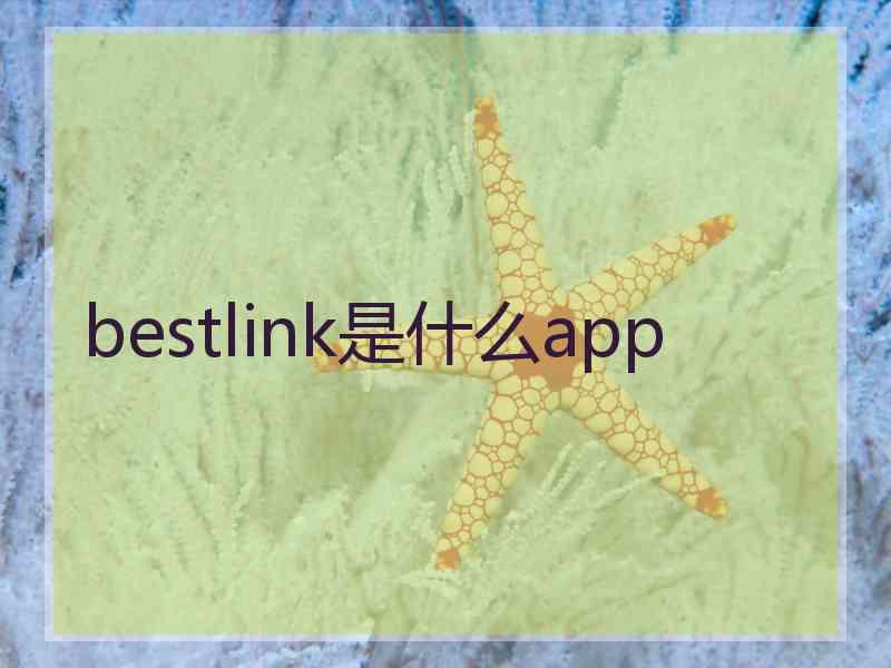 bestlink是什么app