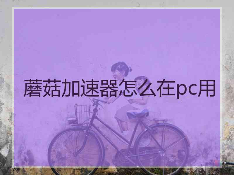 蘑菇加速器怎么在pc用