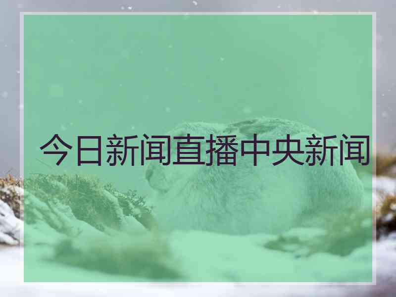 今日新闻直播中央新闻