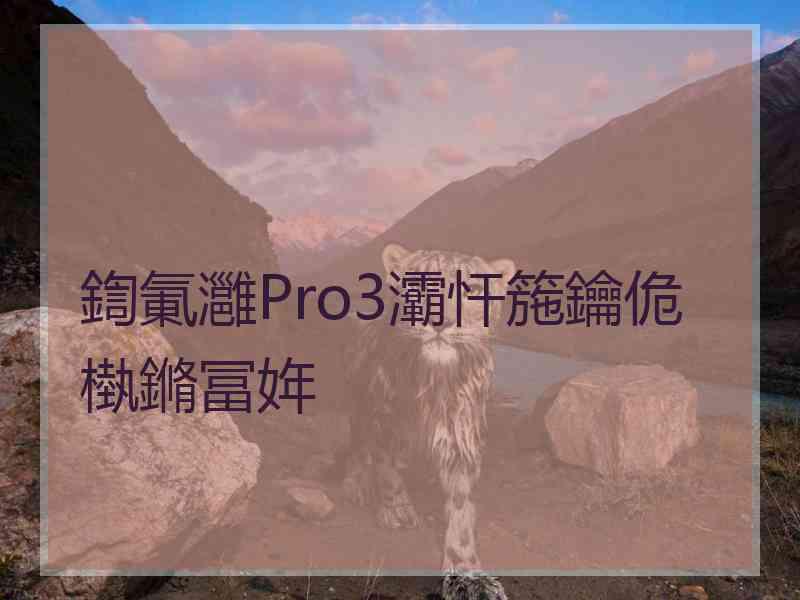 鍧氭灉Pro3灞忓箷鑰佹槸鏅冨姩