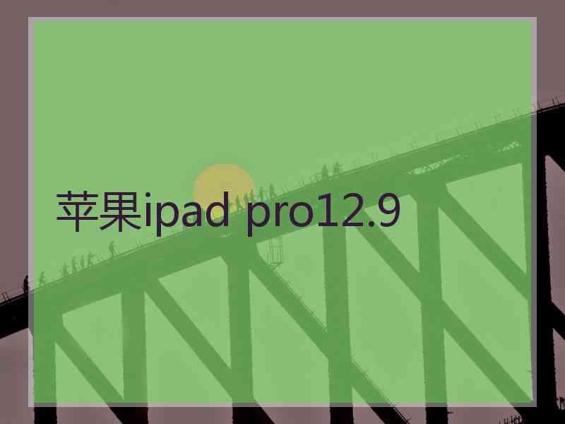 苹果ipad pro12.9