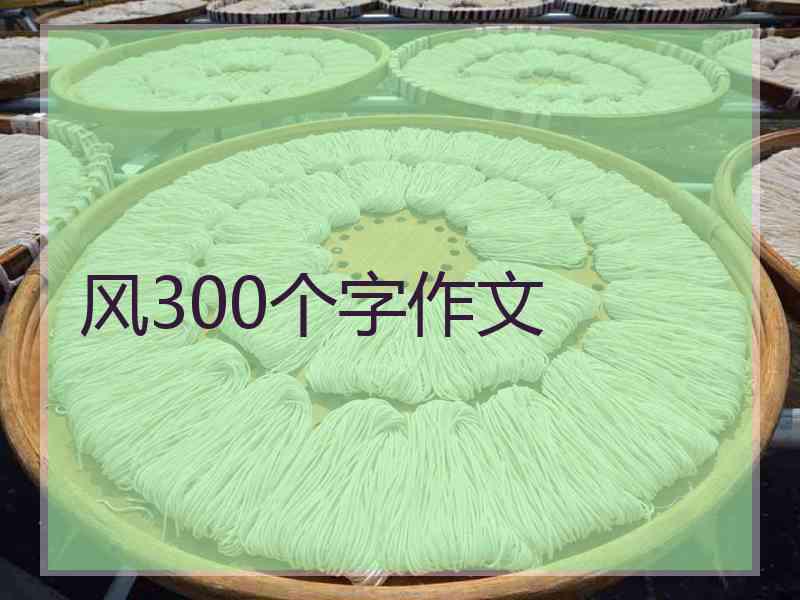 风300个字作文