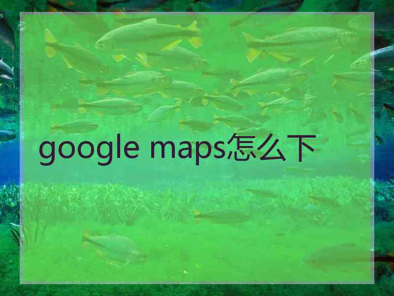 google maps怎么下