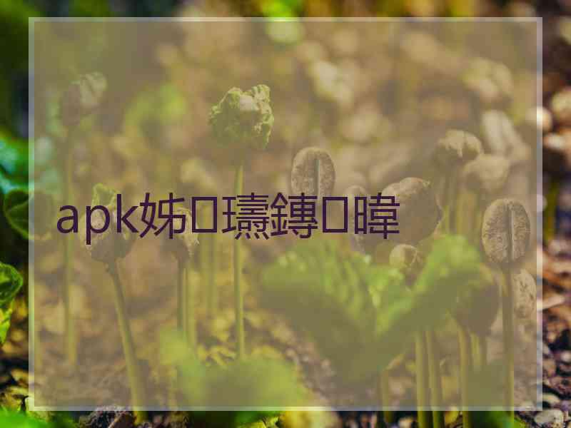 apk姊瓙鏄暐