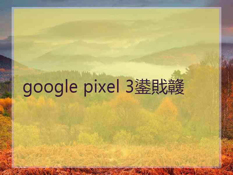 google pixel 3鍙戝竷