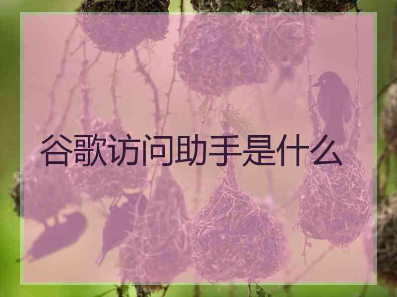 谷歌访问助手是什么