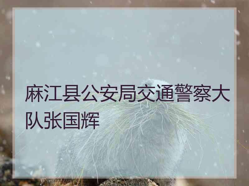 麻江县公安局交通警察大队张国辉