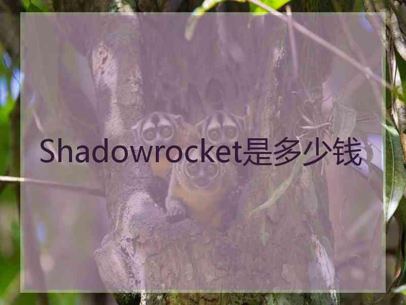 Shadowrocket是多少钱