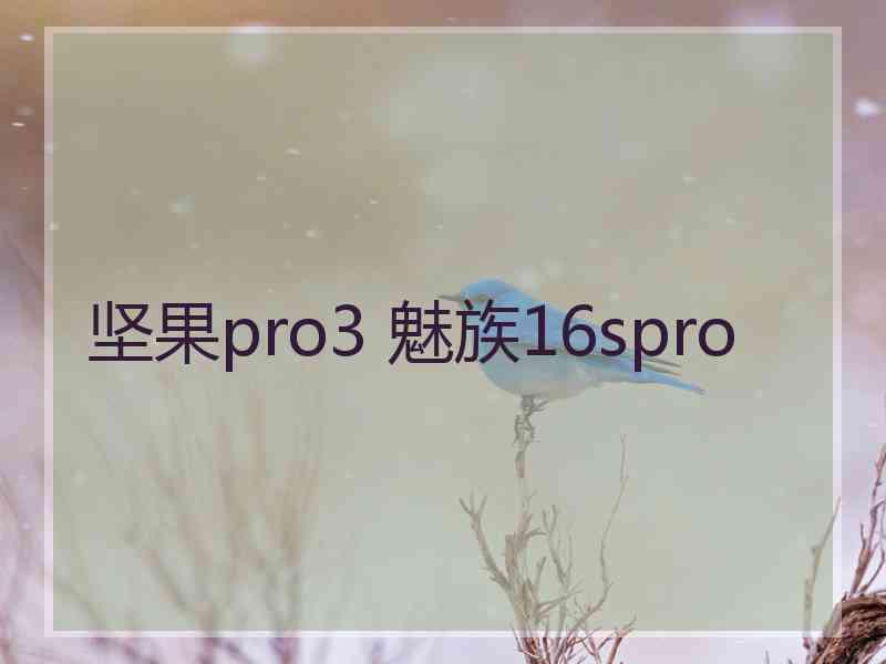 坚果pro3 魅族16spro