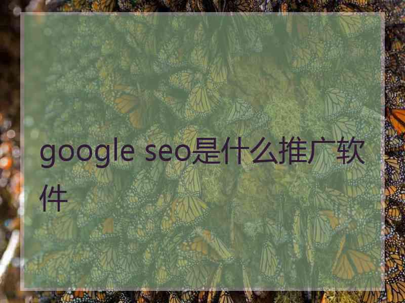 google seo是什么推广软件