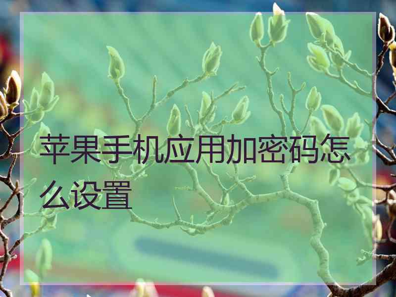 苹果手机应用加密码怎么设置