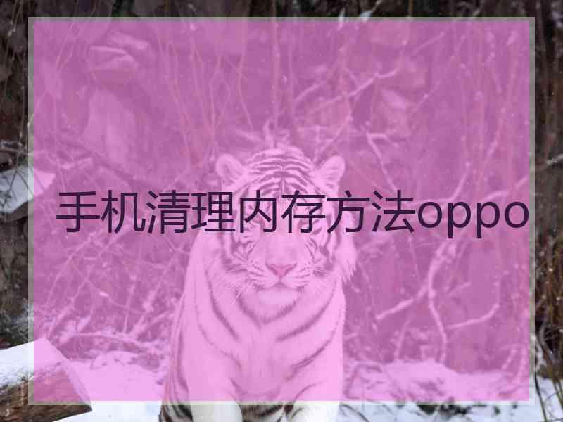 手机清理内存方法oppo