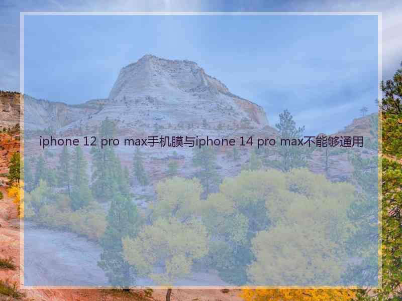 iphone 12 pro max手机膜与iphone 14 pro max不能够通用