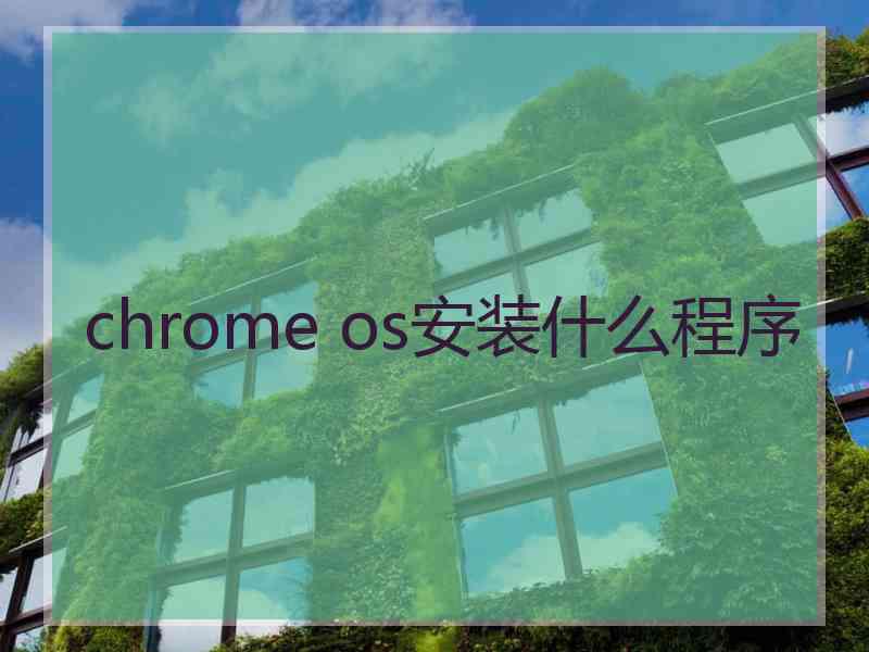 chrome os安装什么程序