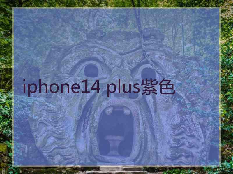 iphone14 plus紫色