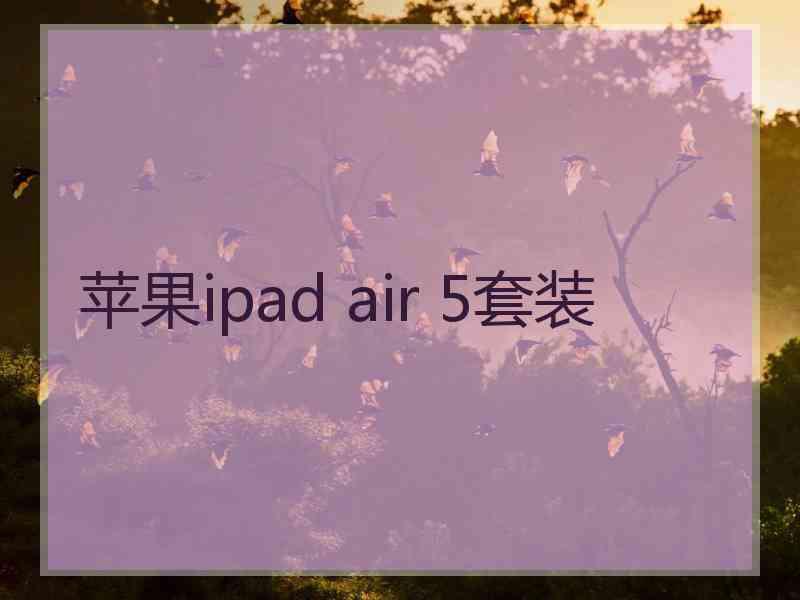 苹果ipad air 5套装