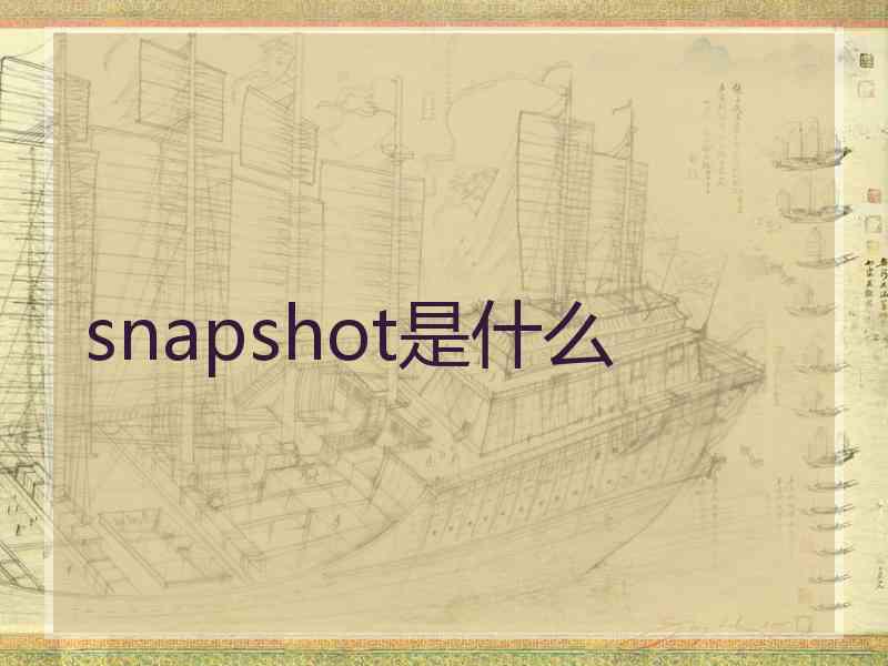 snapshot是什么