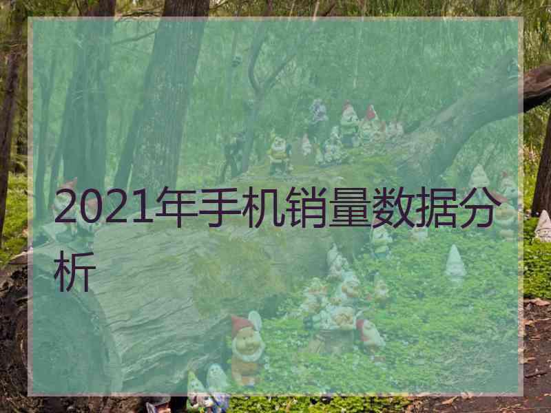 2021年手机销量数据分析