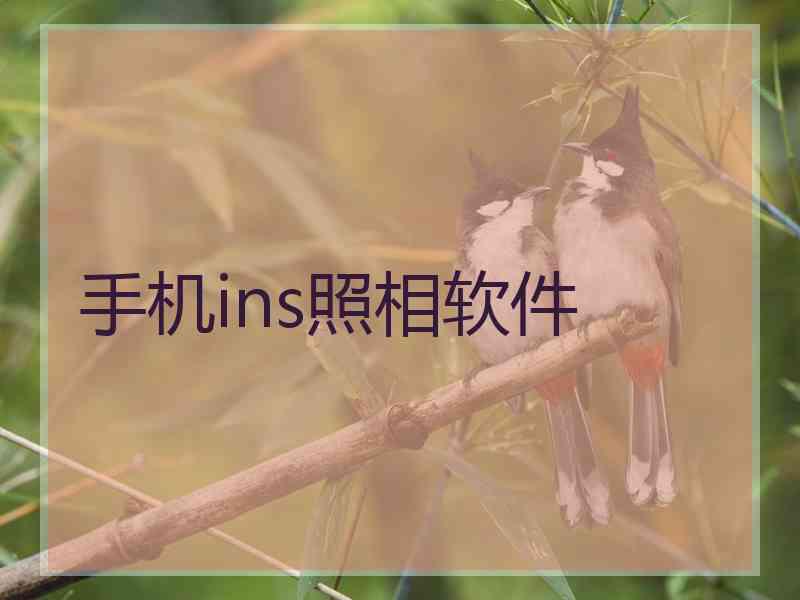 手机ins照相软件