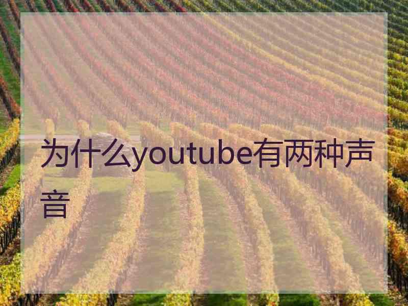 为什么youtube有两种声音