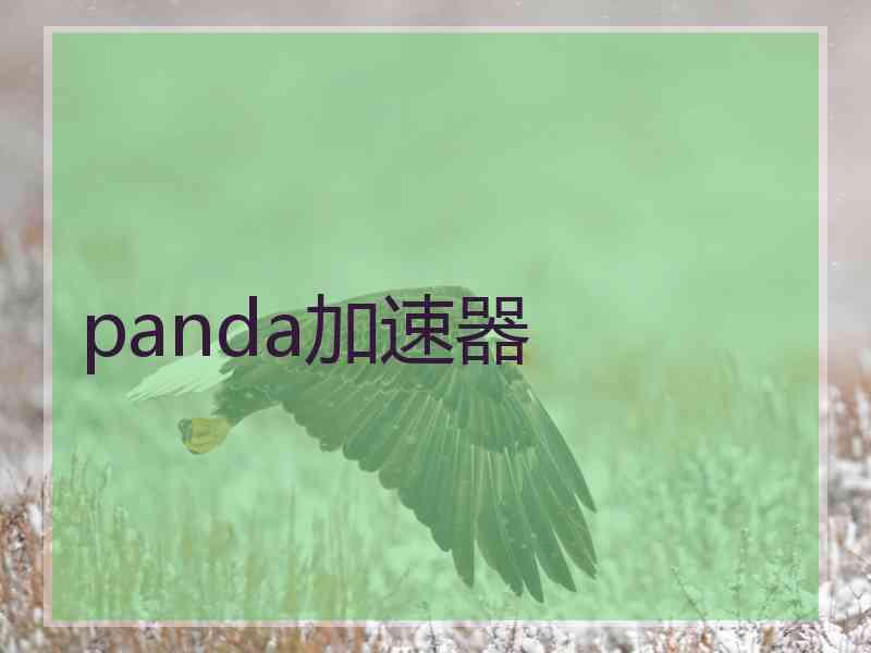 panda加速器