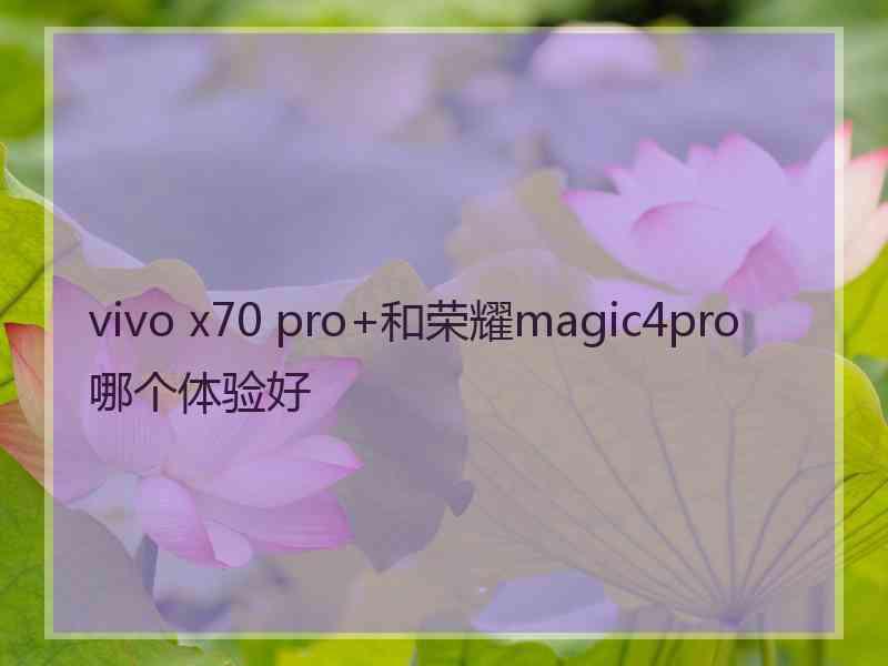 vivo x70 pro+和荣耀magic4pro哪个体验好