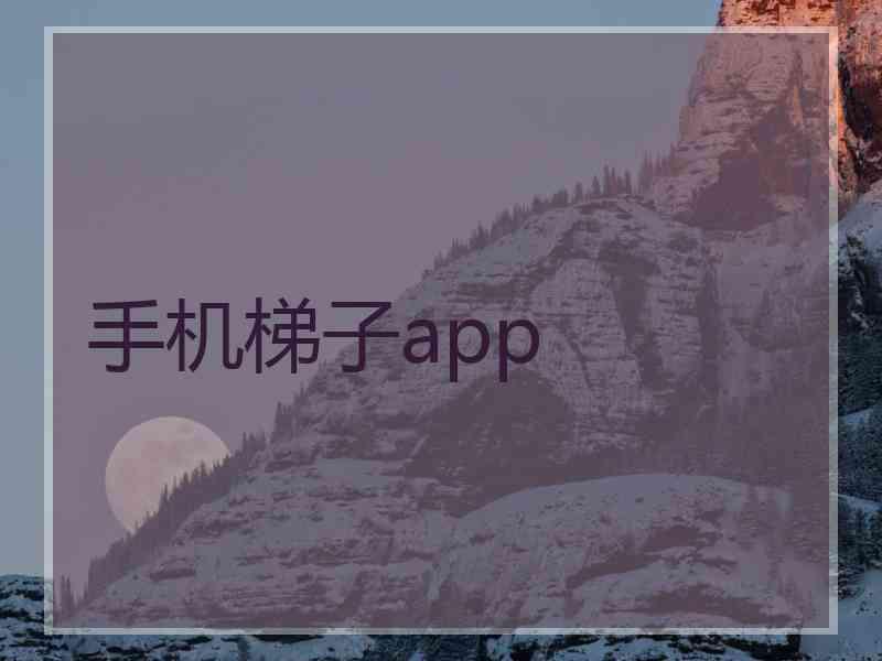 手机梯子app