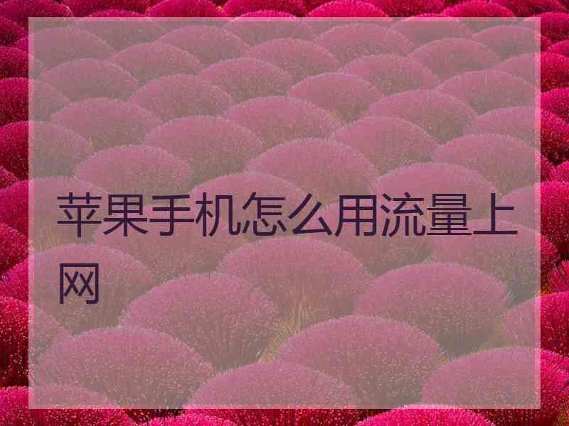 苹果手机怎么用流量上网