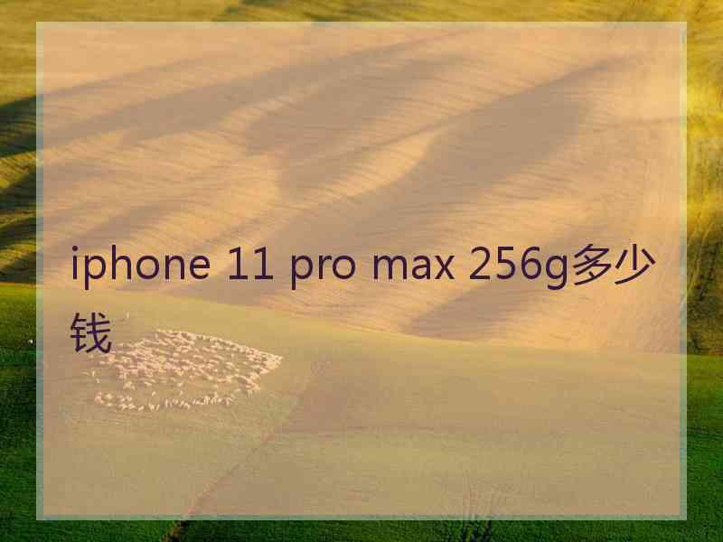 iphone 11 pro max 256g多少钱