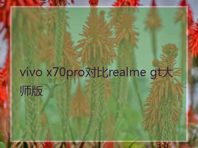 vivo x70pro对比realme gt大师版