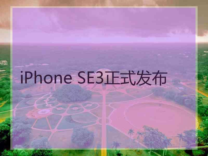 iPhone SE3正式发布