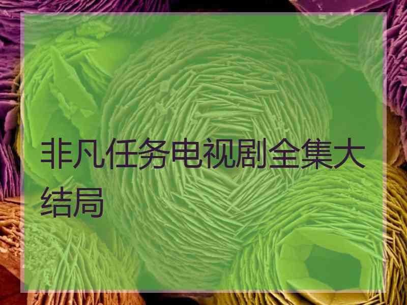 非凡任务电视剧全集大结局