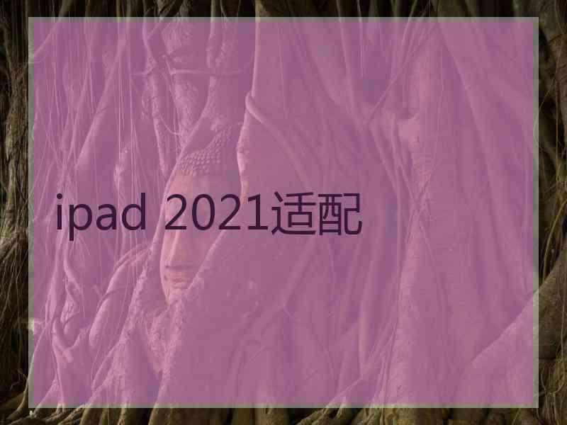 ipad 2021适配