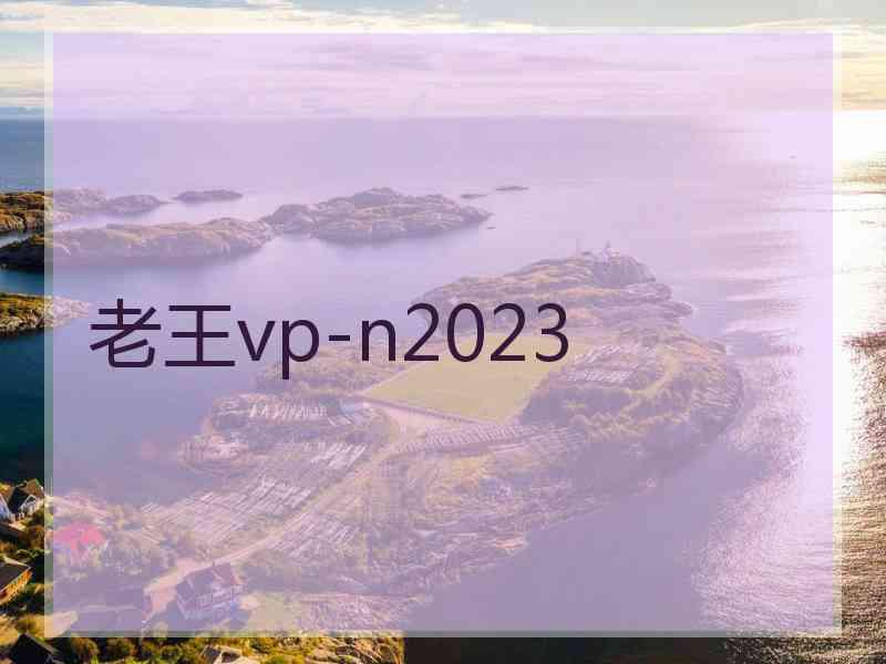 老王vp-n2023