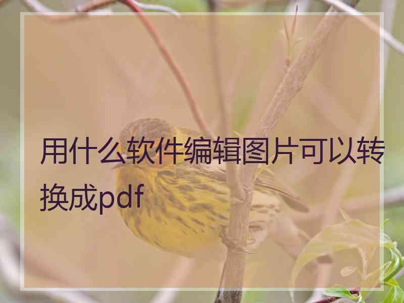 用什么软件编辑图片可以转换成pdf