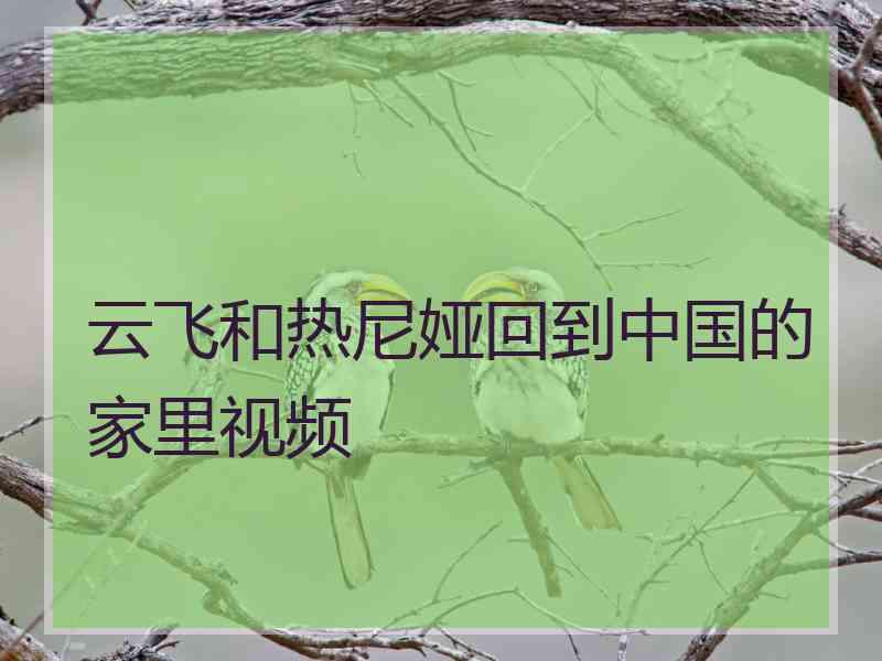 云飞和热尼娅回到中国的家里视频