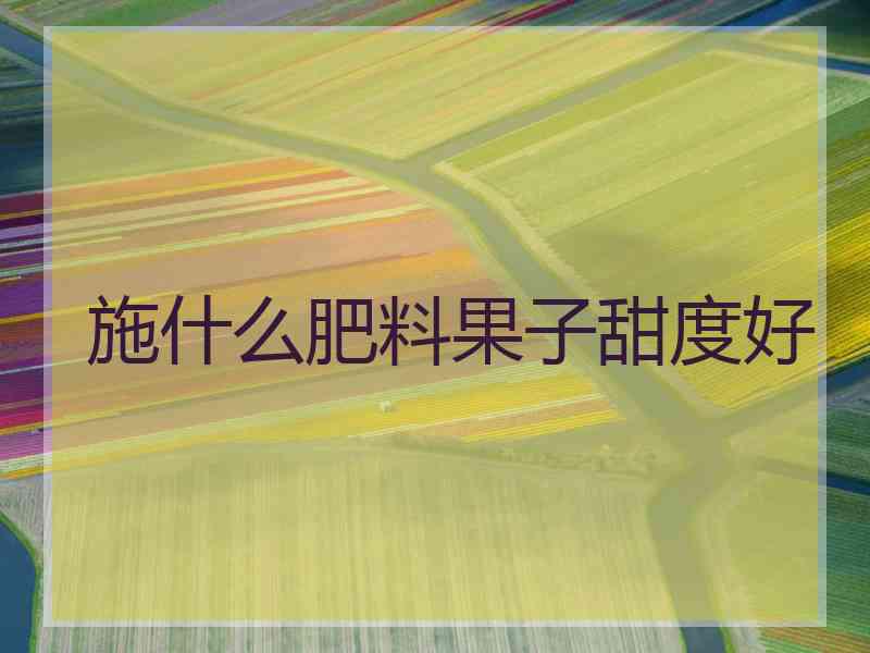 施什么肥料果子甜度好