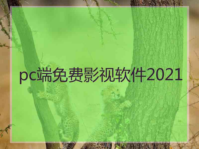 pc端免费影视软件2021