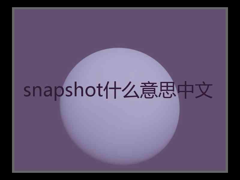 snapshot什么意思中文