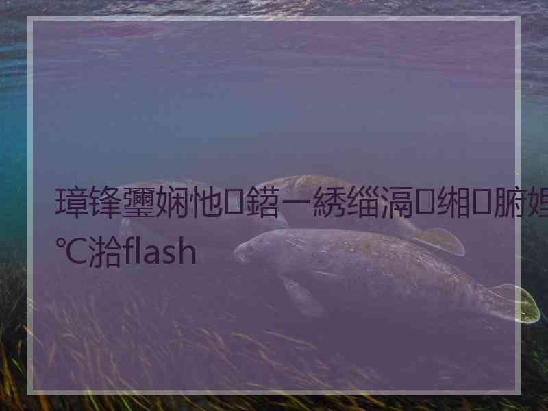 璋锋瓕娴忚鍣ㄧ綉缁滆缃腑娌℃湁flash