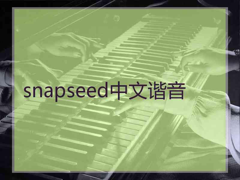 snapseed中文谐音