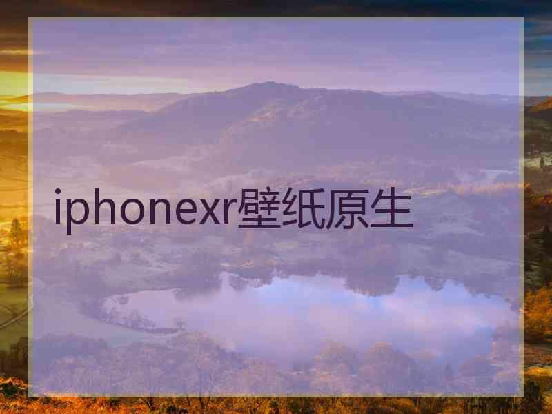 iphonexr壁纸原生