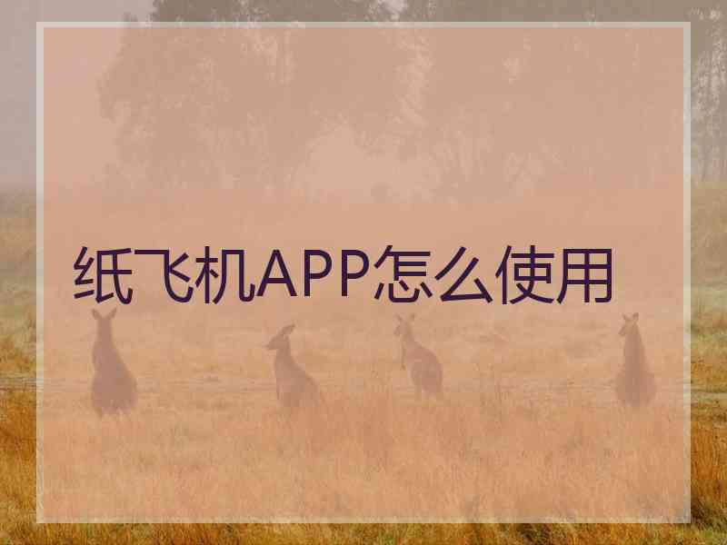 纸飞机APP怎么使用