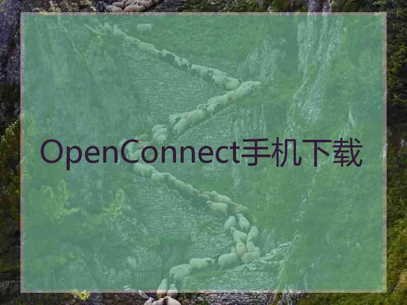 OpenConnect手机下载