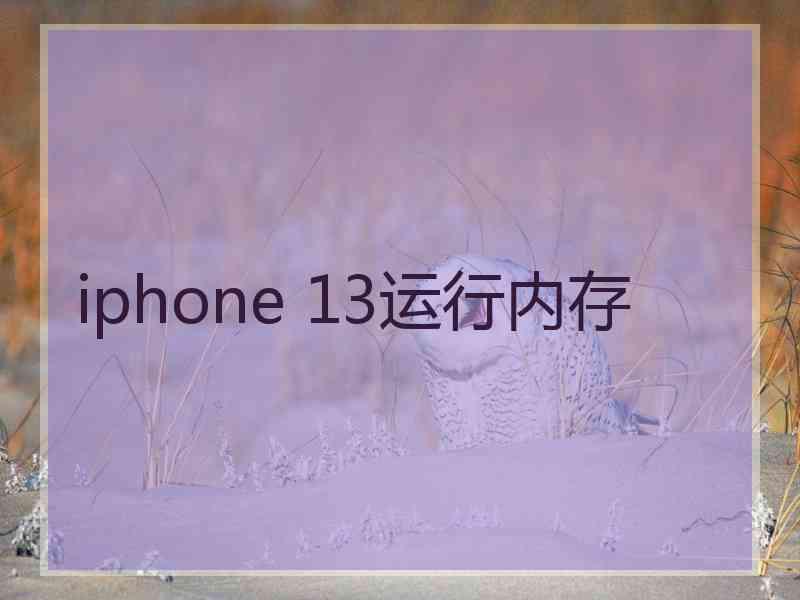 iphone 13运行内存