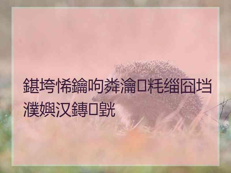 鍖垮悕鑰呴粦瀹㈢粍缁囧垱濮嬩汉鏄皝