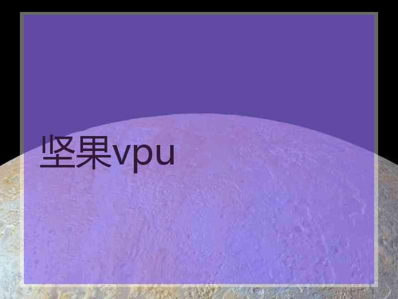 坚果vpu